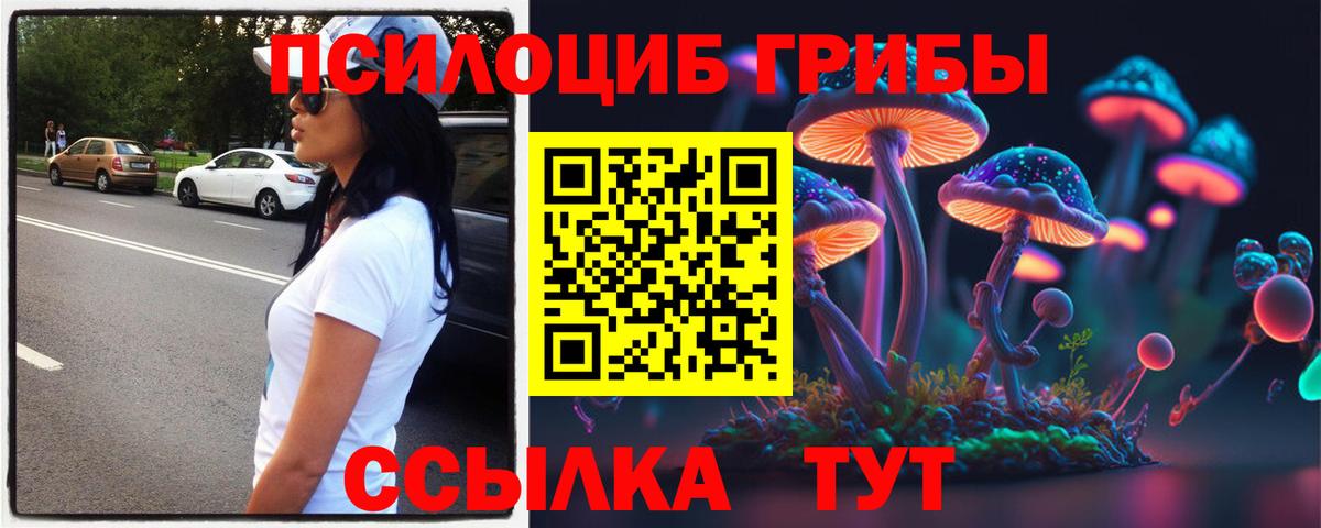 Киселёвск  Псилоцибиновые грибы GOLDEN TEACHER  Псилоцибиновые грибы GOLDEN TEACHER  как найти   Вход с VPN 